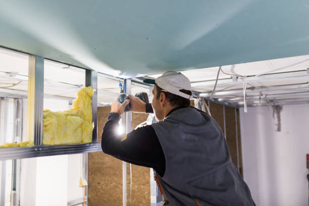 Best Insulation for Specific Applications in Mante, CA